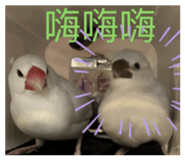 835204643