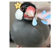 835204648