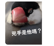 835204653