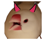 835204655