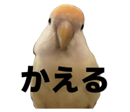 835217428