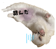 835237857
