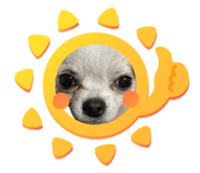 835237863