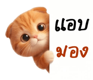 835243050