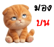 835243070