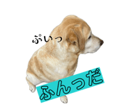 835244815