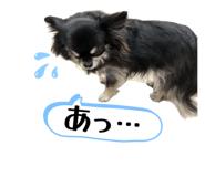 835245530