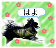 835245533