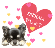 835245535