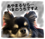 835245536