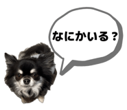 835245544
