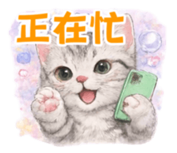 835253715
