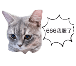 835268882