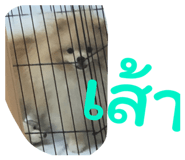 835269551