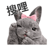 835270866
