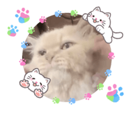 835277873