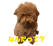 835280634