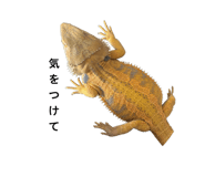 835284234