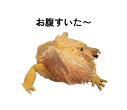 835284236