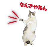835287721
