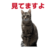 835287729