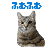 835287730