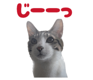 835287738