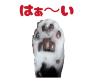 835287740