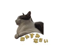 835288214