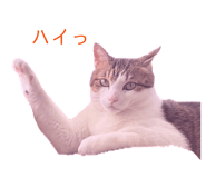 835288215