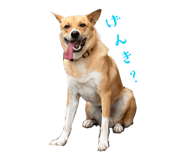 835288505