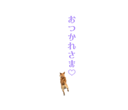 835288506