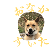 835288508
