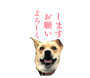 835288509