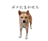 835288512