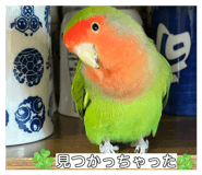 835288592