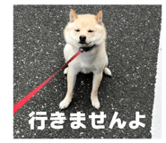 835288730