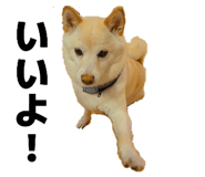 835288731