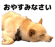 835288739