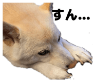835288744
