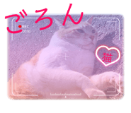 835288809