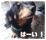 835289374