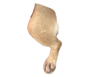 835289775