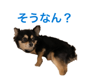 835290557