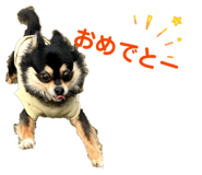835290559