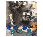 835290715