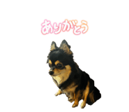 835290969