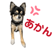 835290977