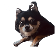 835290981