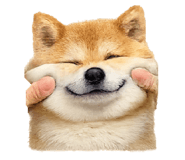 835294071